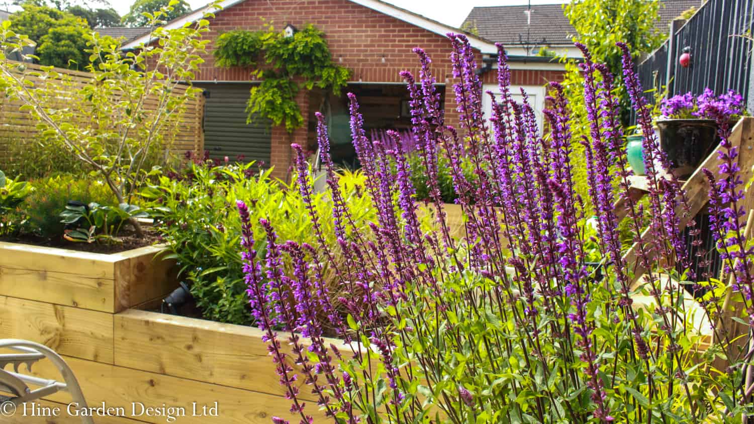 blooming small garden for pollinators