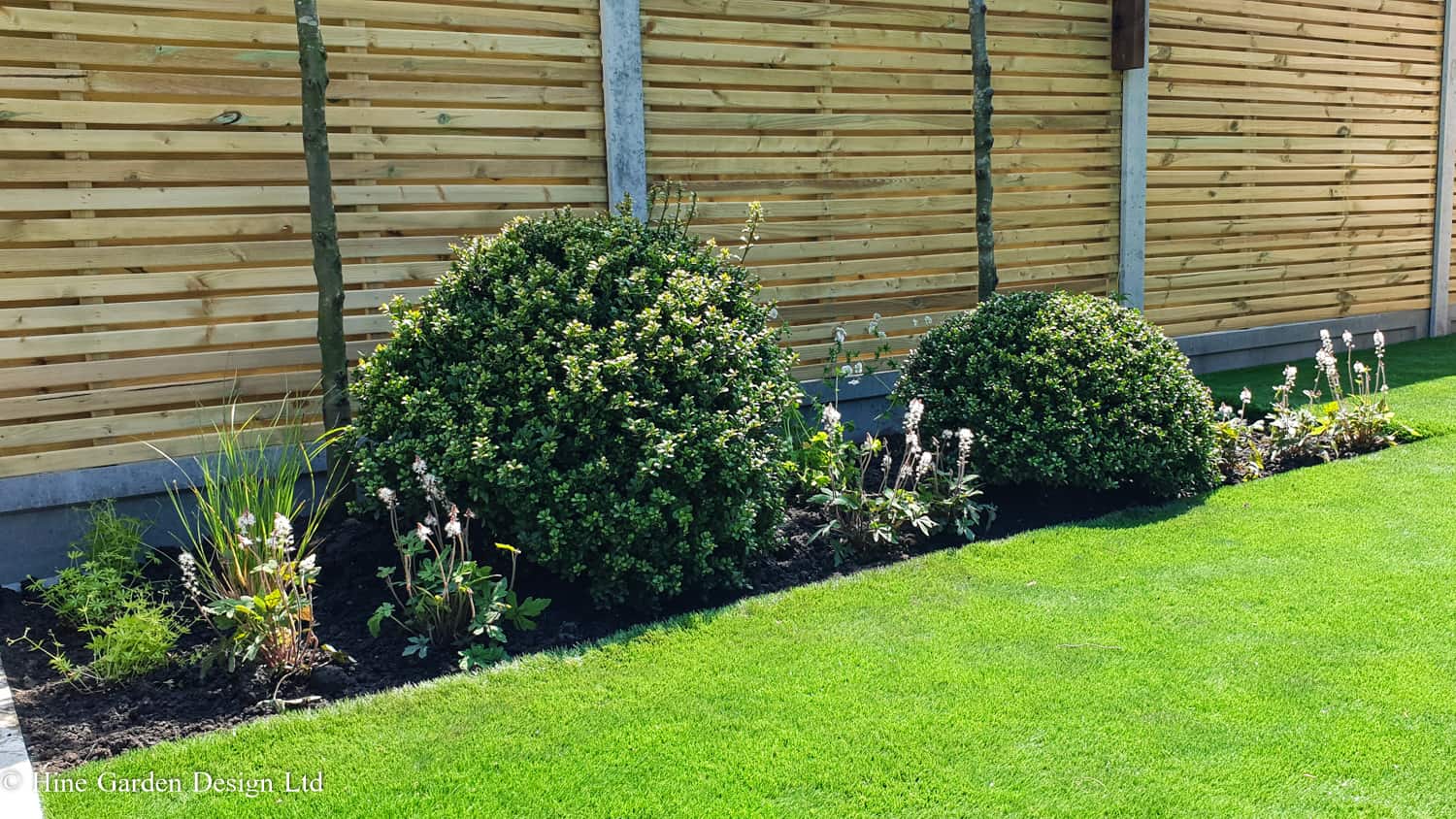 topiary from Garden Designer Wootton Bedford