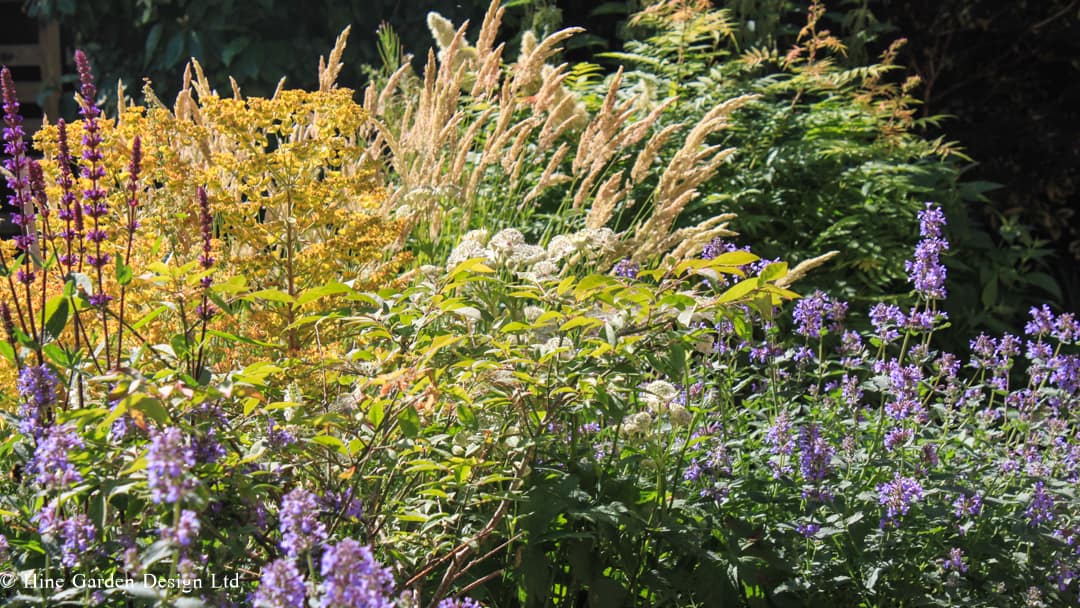 Garden Design Bedford shrubs and perennial planting mixed with grasses