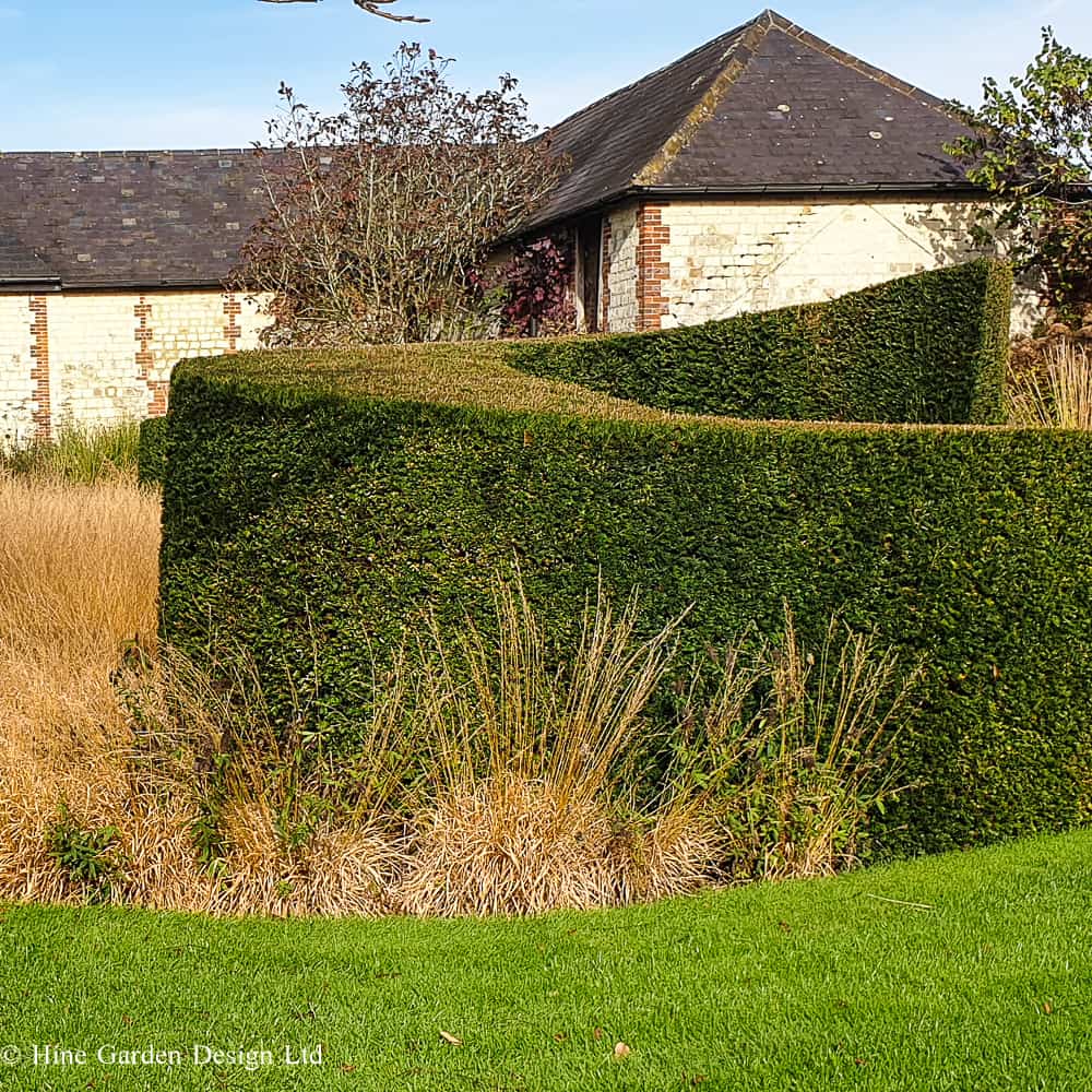 Garden setting, building in the backdrop with small trees, architectural swirl of hedging abutting lawn and planting comprising heavily of ornamental grasses.