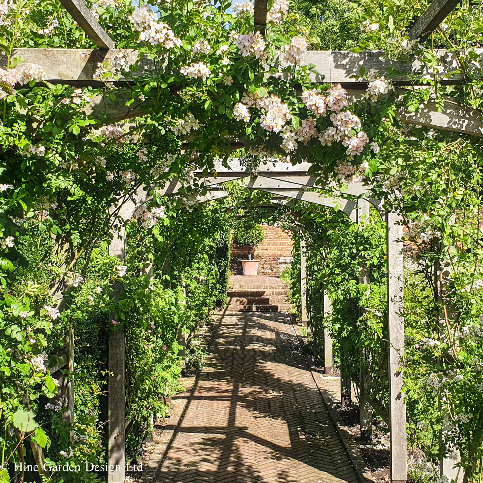 Faded timber rose pergola, a few meters long and covered in pale pink blooming roses.