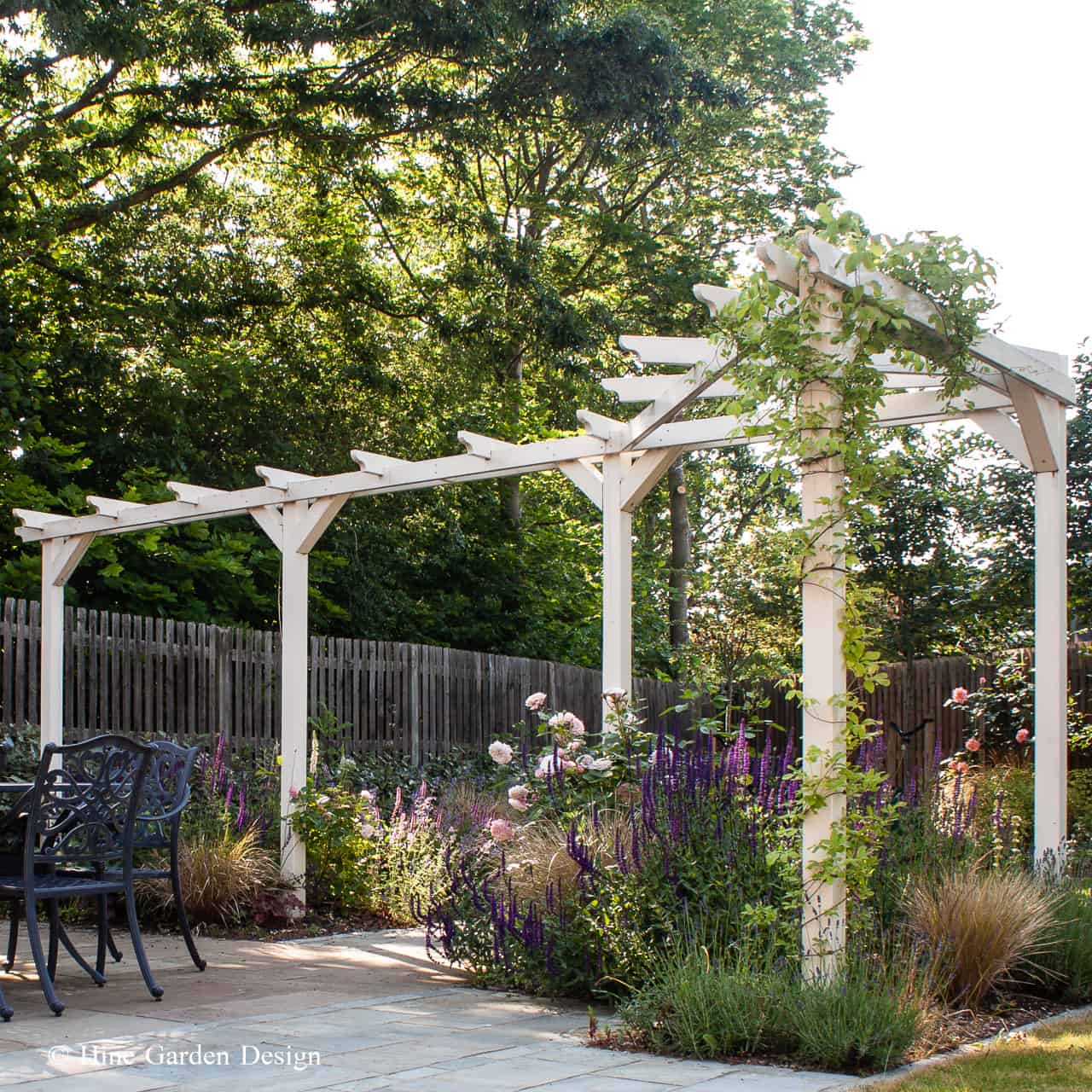 rosa generous gardener and salvia nemorosa caradonna