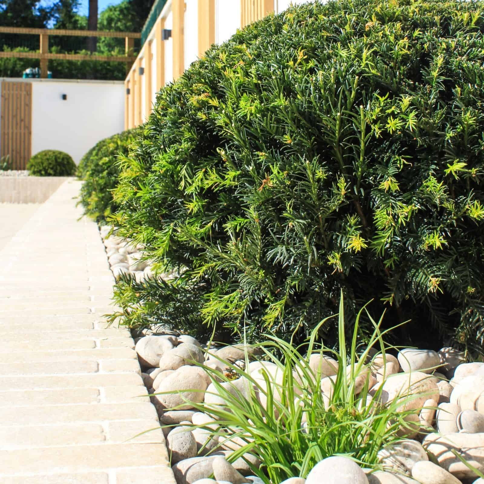 designed steps in garden wall with planting and corner pergola in white surrounding a garden area for entertaining with dining table