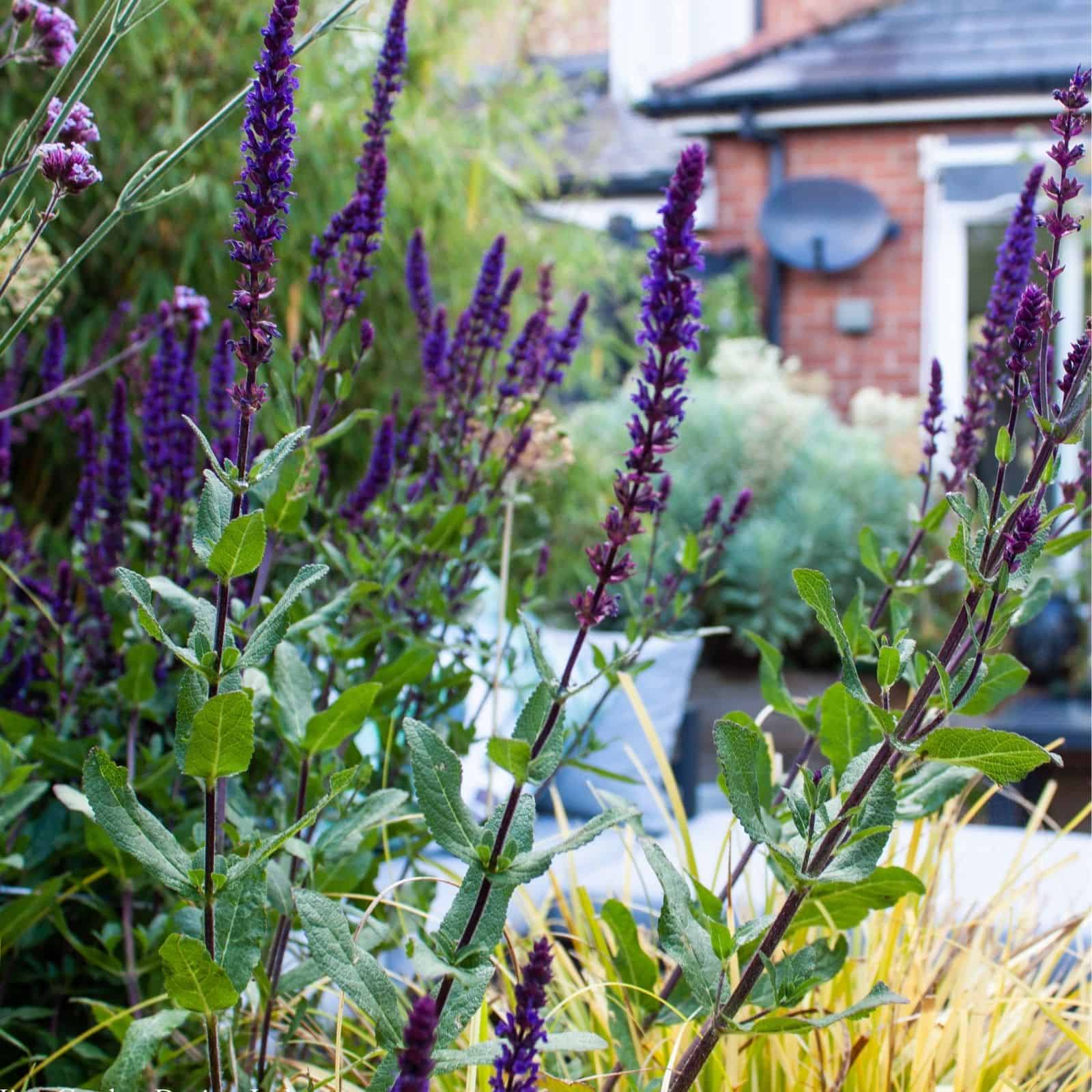 garden spaces created using raised bends and landscaping materials