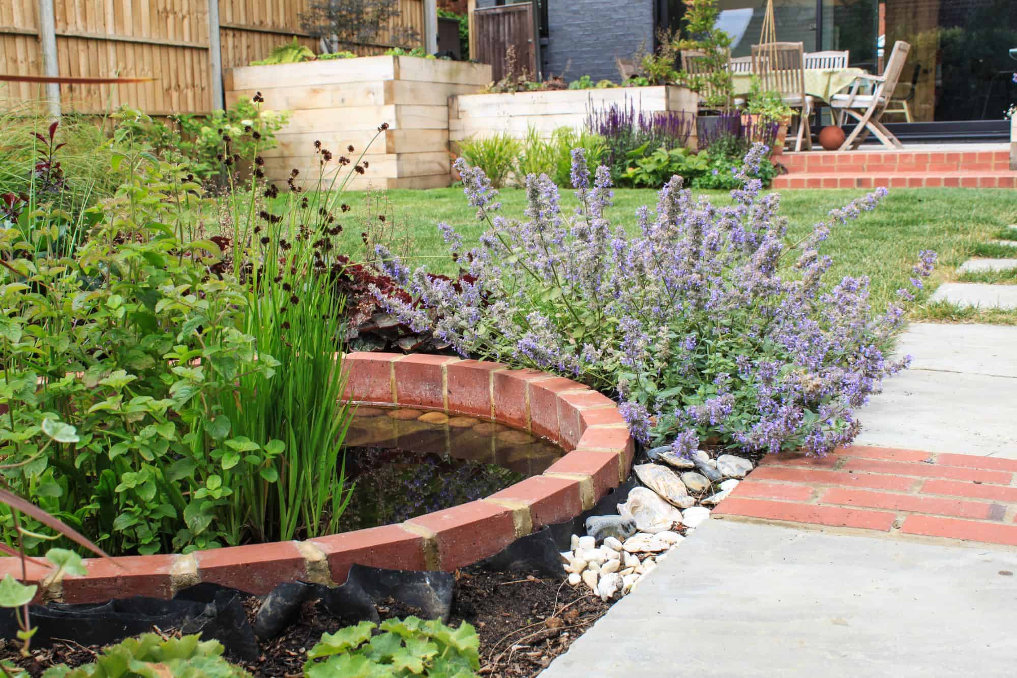 designed steps in garden wall with planting and corner pergola