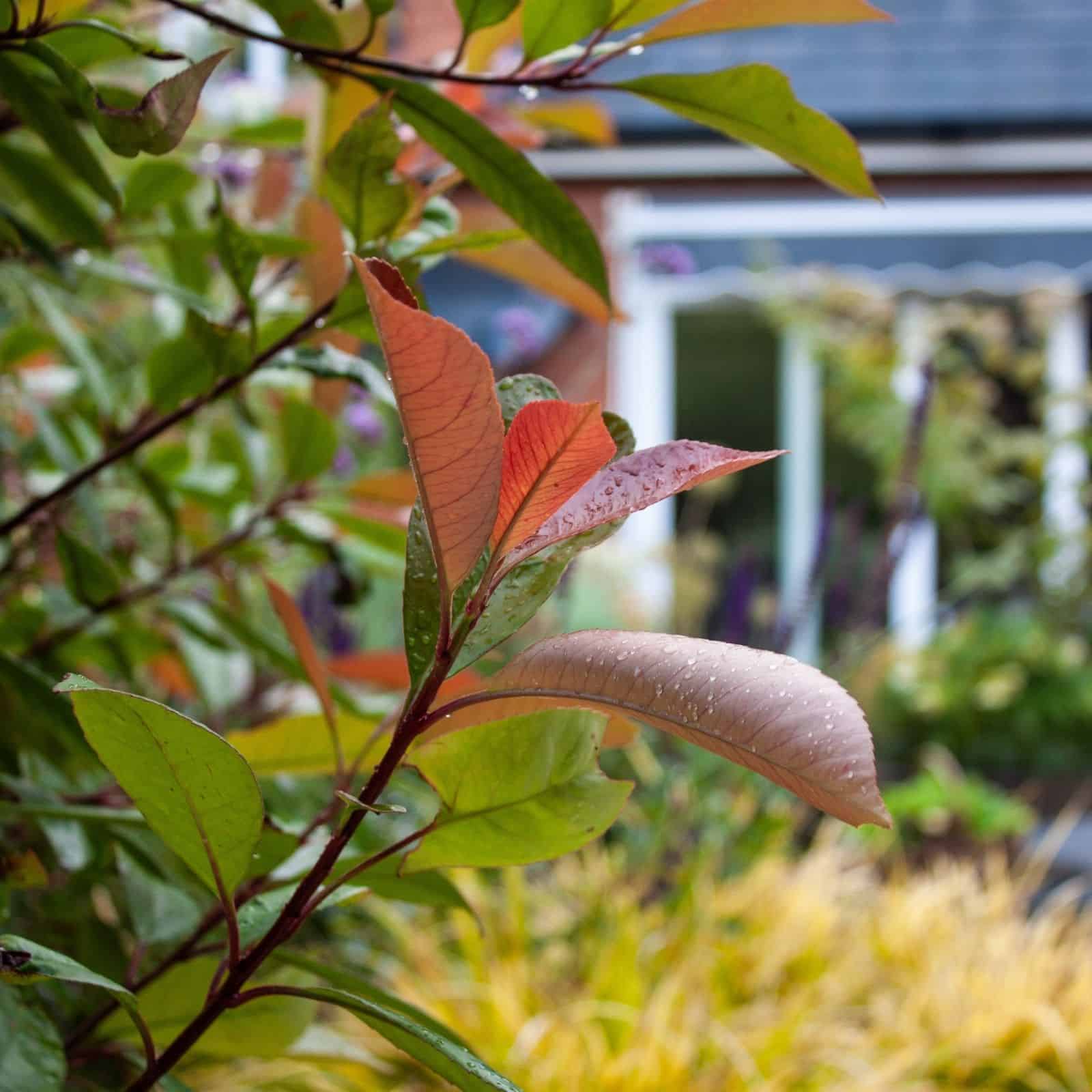 garden spaces created using raised bends and landscaping materials