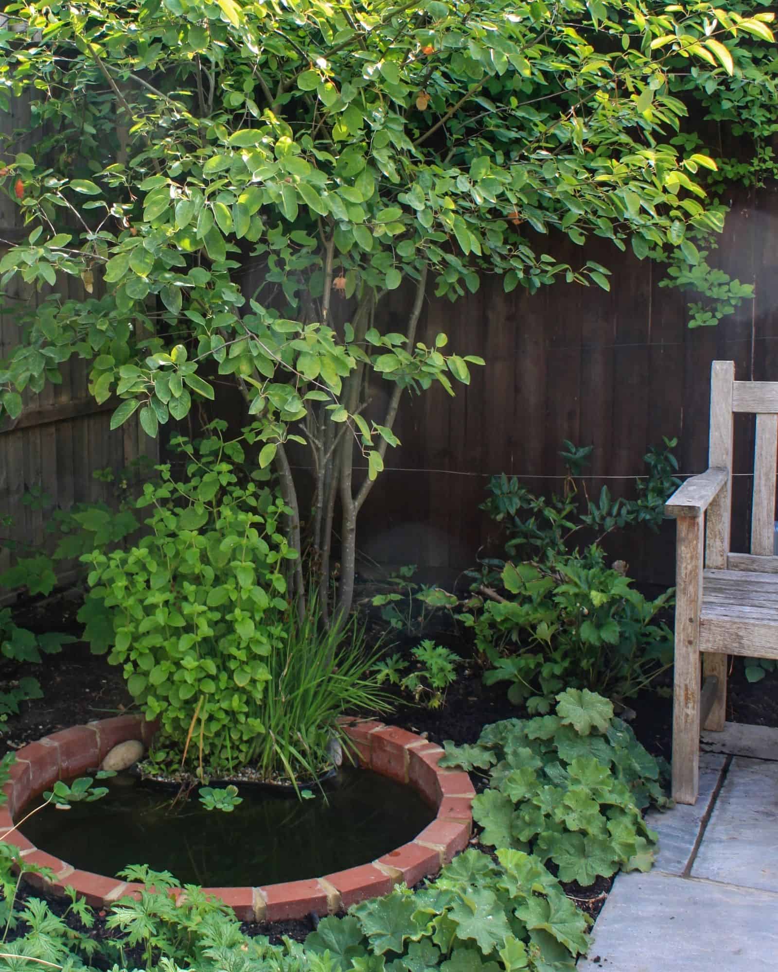 planting at base of a wall Garden Design Buckinghamshire