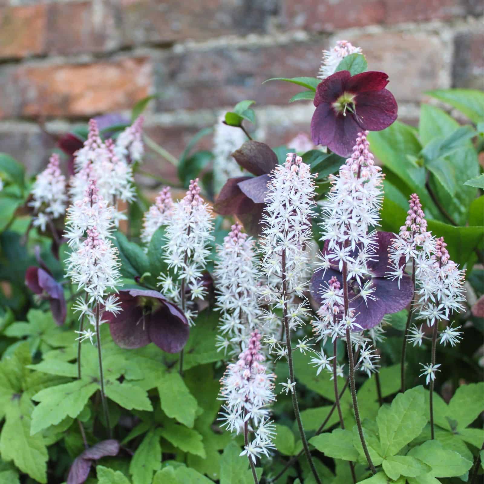 English country garden design brick walls and seating