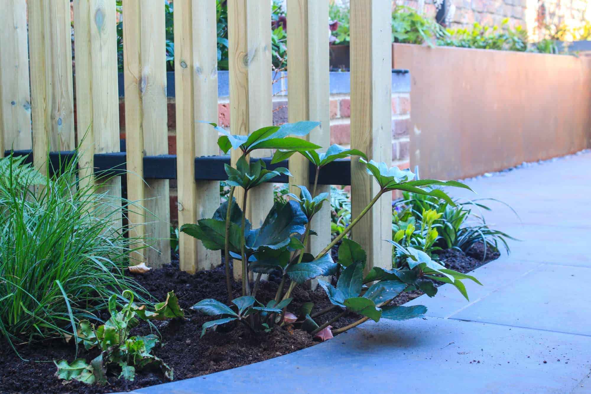 designed steps in garden wall with planting and corner pergola