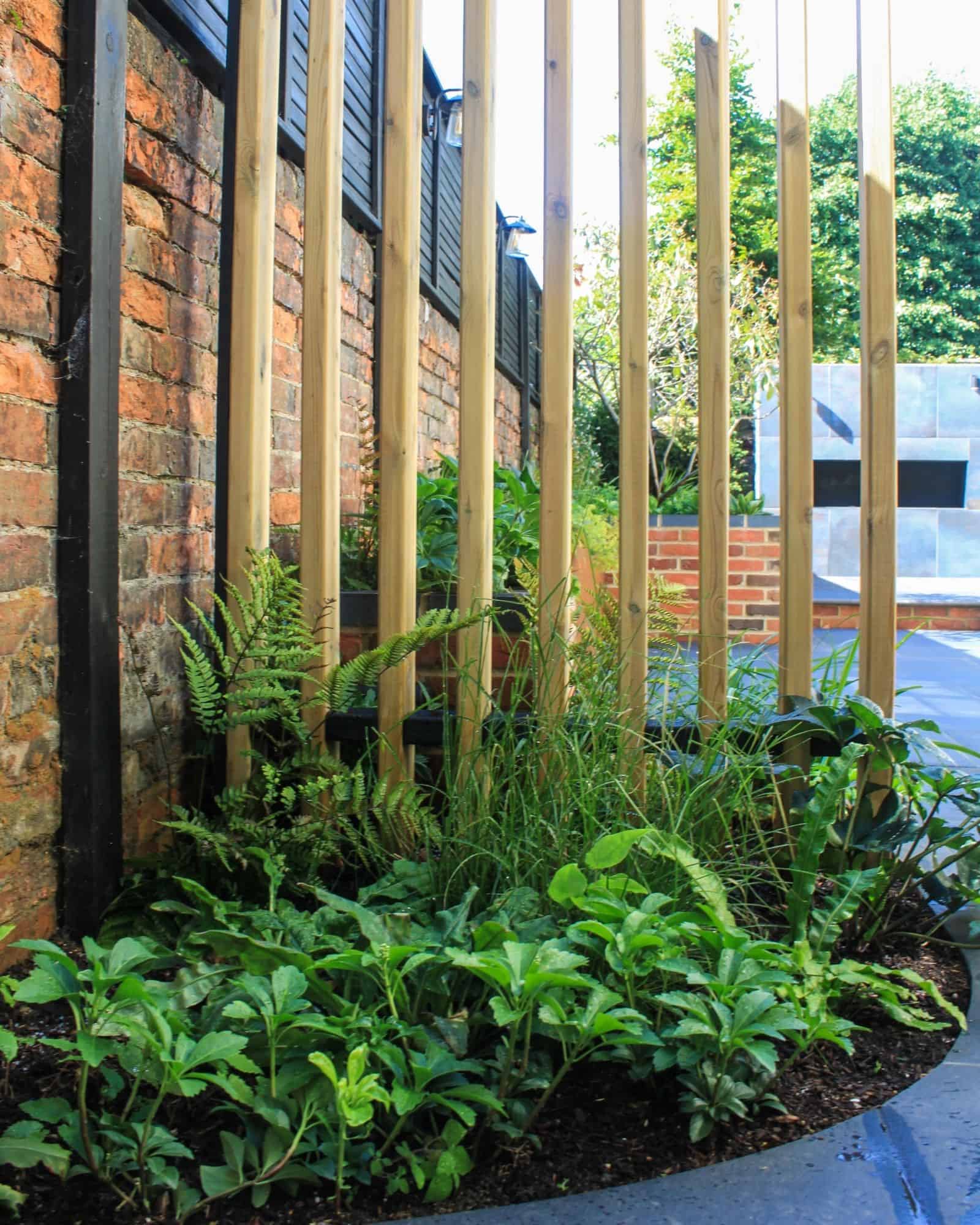 planting at base of a wall Garden Design Buckinghamshire